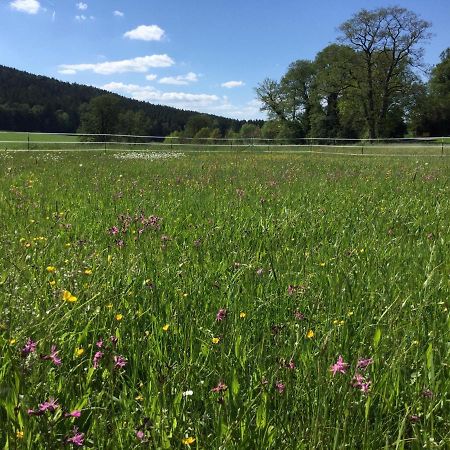 Haus Am Treffenbach Leilighet Waldmünchen Eksteriør bilde