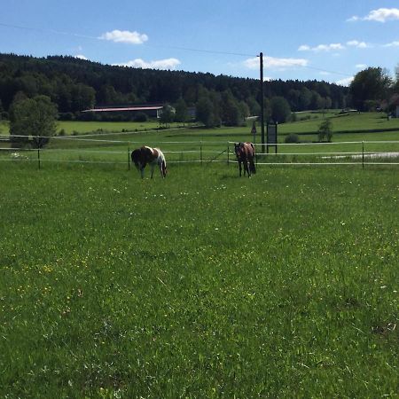 Haus Am Treffenbach Leilighet Waldmünchen Eksteriør bilde