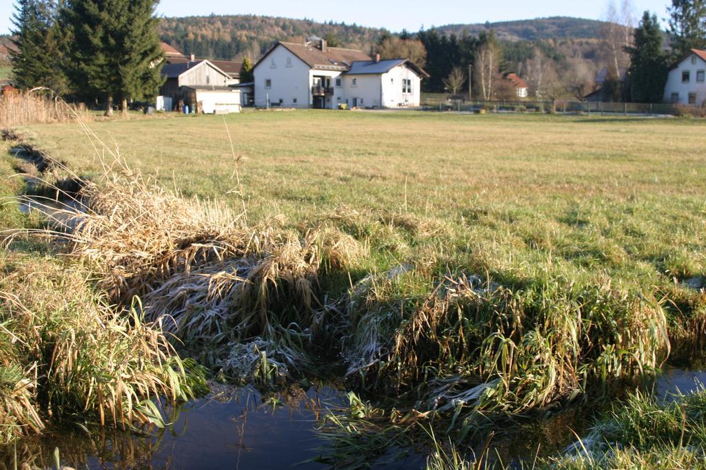 Haus Am Treffenbach Leilighet Waldmünchen Eksteriør bilde