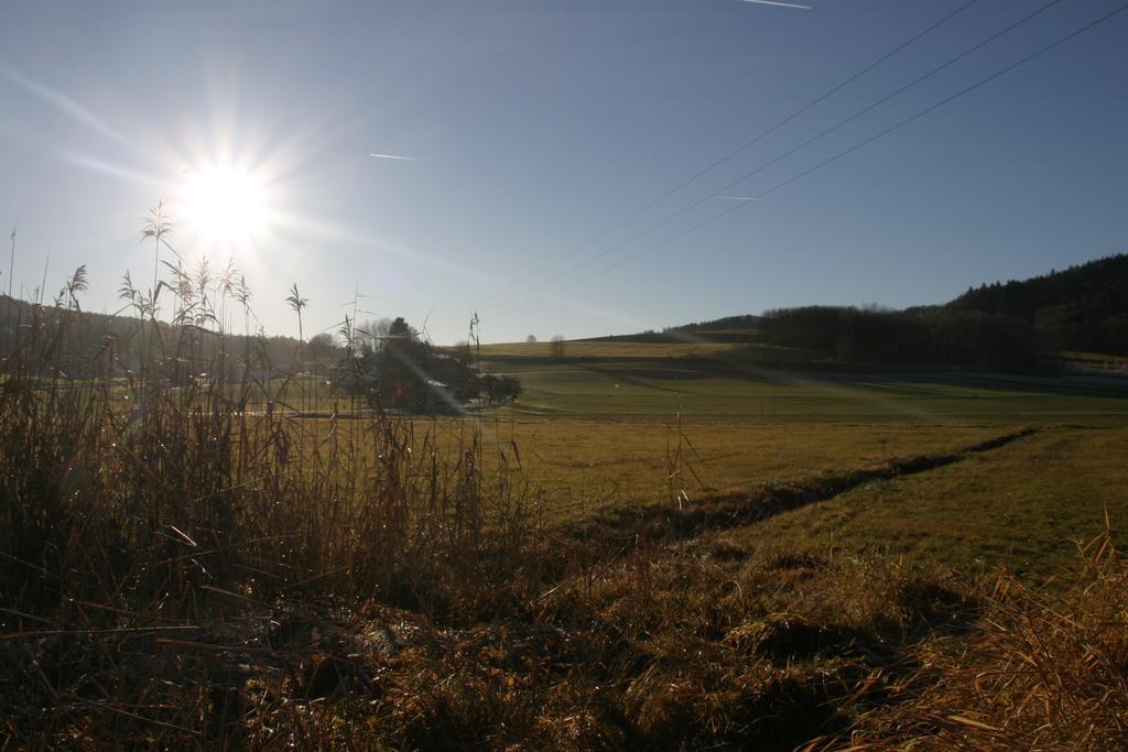 Haus Am Treffenbach Leilighet Waldmünchen Eksteriør bilde