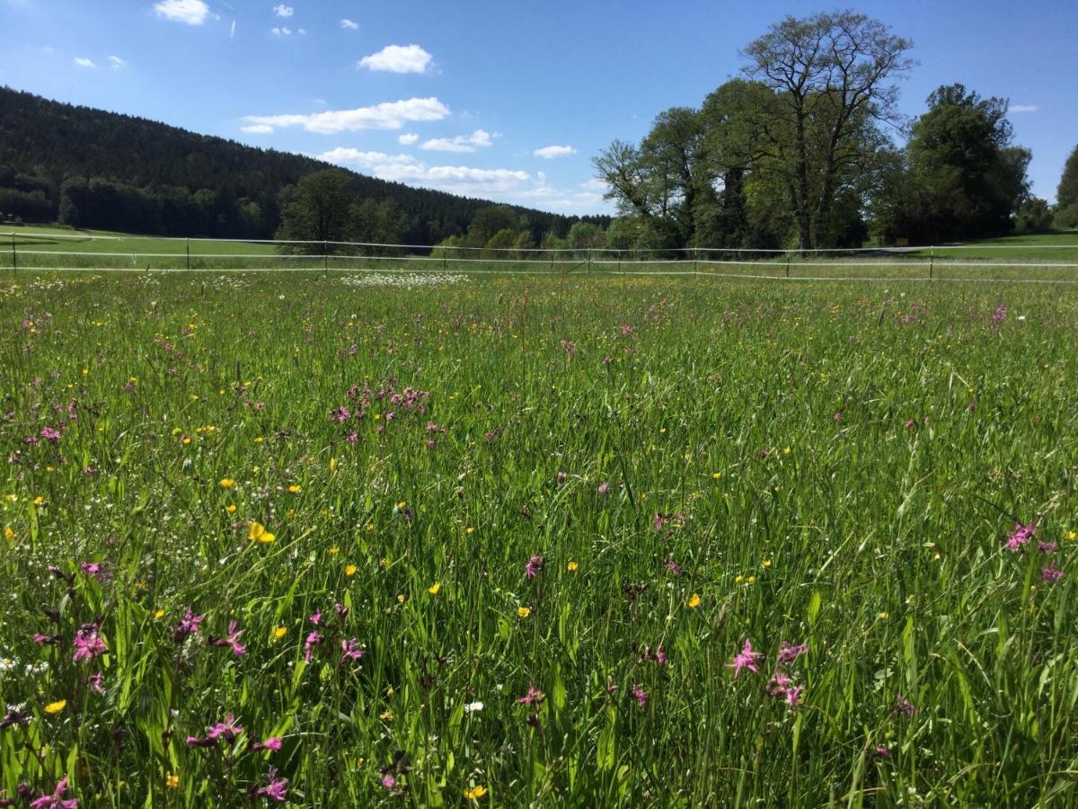 Haus Am Treffenbach Leilighet Waldmünchen Eksteriør bilde