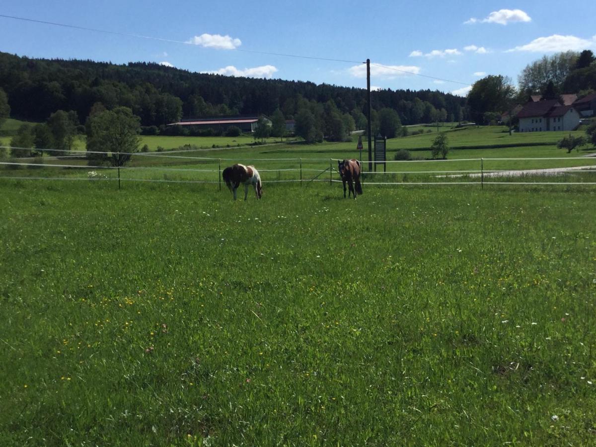 Haus Am Treffenbach Leilighet Waldmünchen Eksteriør bilde